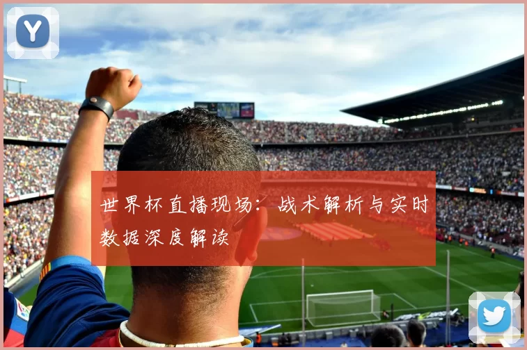 世界杯直播现场：战术解析与实时数据深度解读