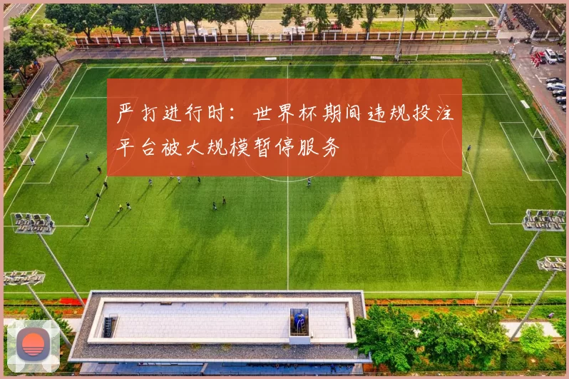 严打进行时：世界杯期间违规投注平台被大规模暂停服务