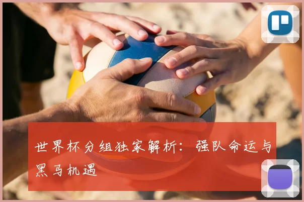 世界杯分组独家解析：强队命运与黑马机遇