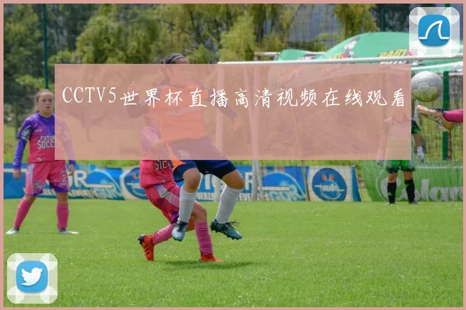 CCTV5世界杯直播高清视频在线观看
