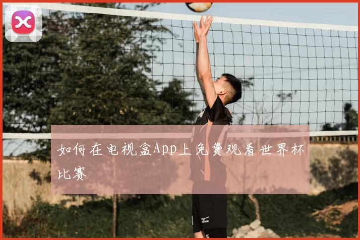 如何在电视盒App上免费观看世界杯比赛