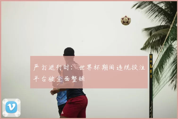 严打进行时：世界杯期间违规投注平台被全面整顿