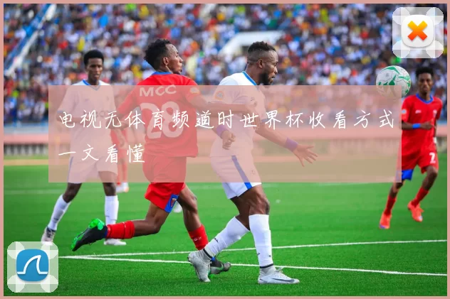 电视无体育频道时世界杯收看方式一文看懂