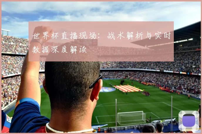 世界杯直播现场:战术解析与实时数据深度解读
