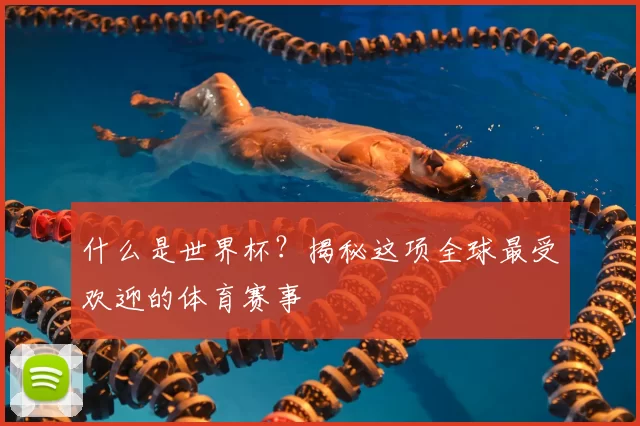 什么是世界杯？揭秘这项全球最受欢迎的体育赛事