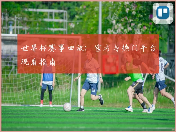 世界杯赛事回放：官方与热门平台观看指南