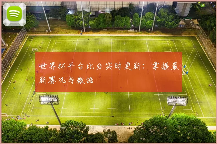 世界杯平台比分实时更新：掌握最新赛况与数据