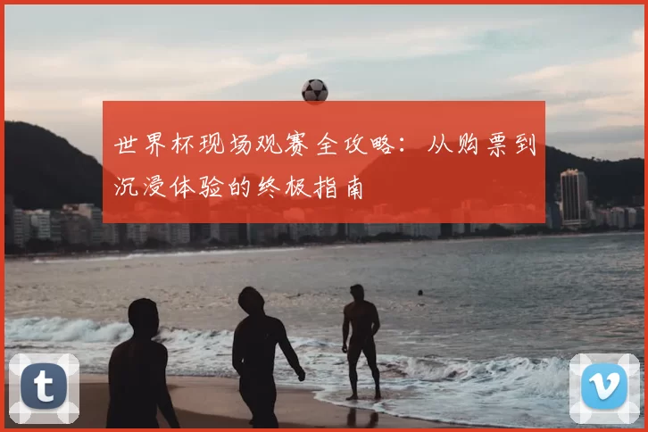 世界杯现场观赛全攻略:从购票到沉浸体验的终极指南