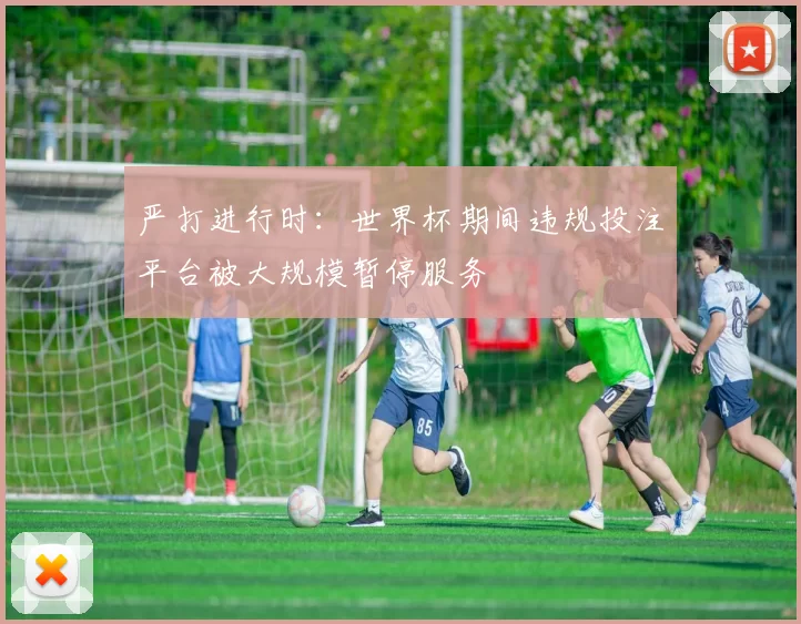 严打进行时：世界杯期间违规投注平台被大规模暂停服务